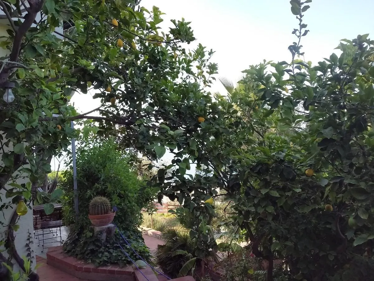 La Pergola Sul Mare Apartment Mandra Capreria