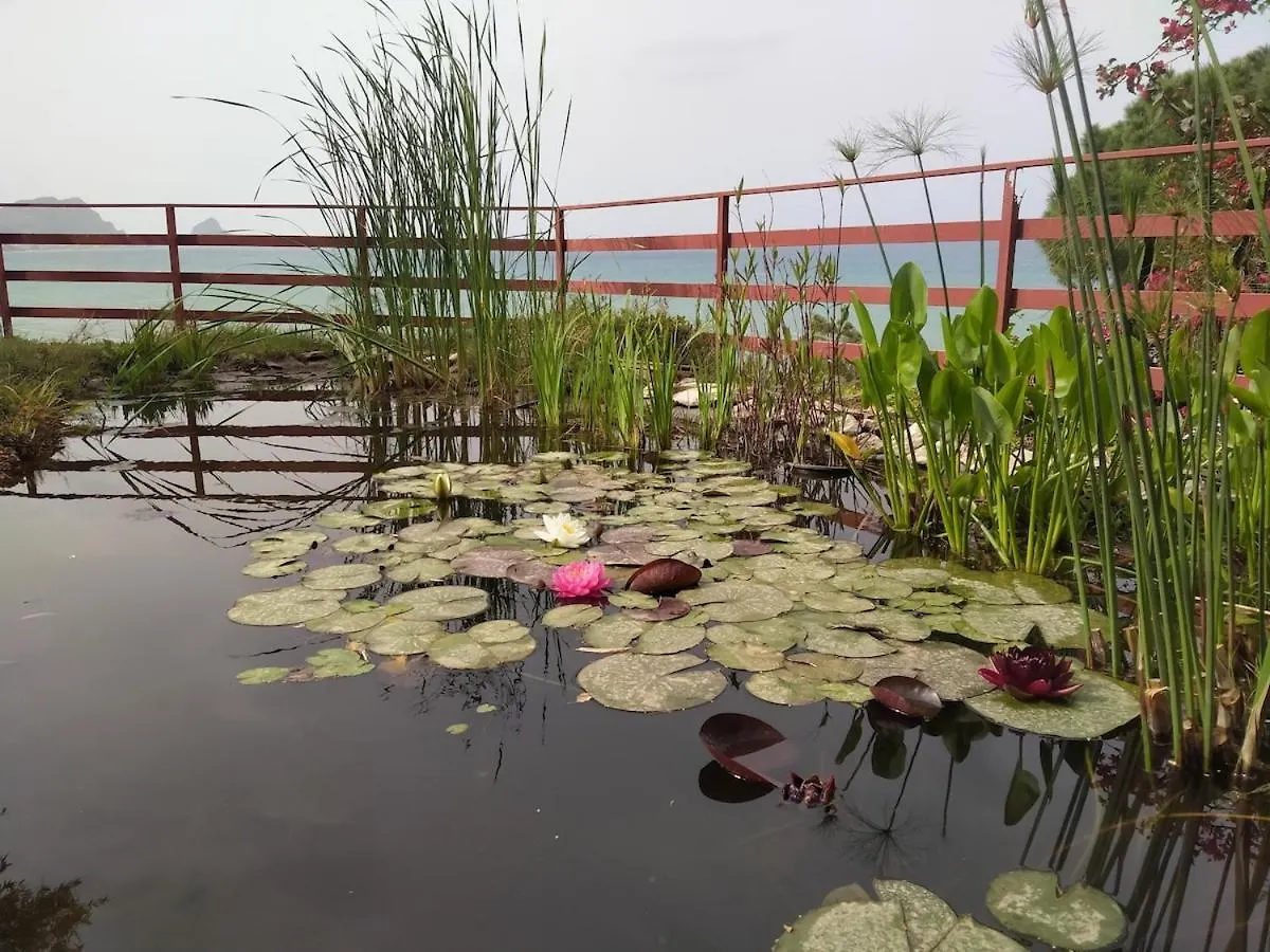 公寓 Mandra CapreriaLa Pergola Sul Mare公寓 意大利