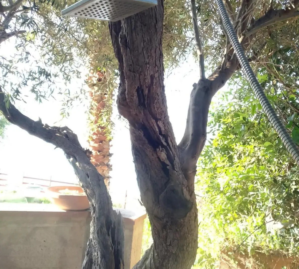 公寓 Mandra CapreriaLa Pergola Sul Mare公寓