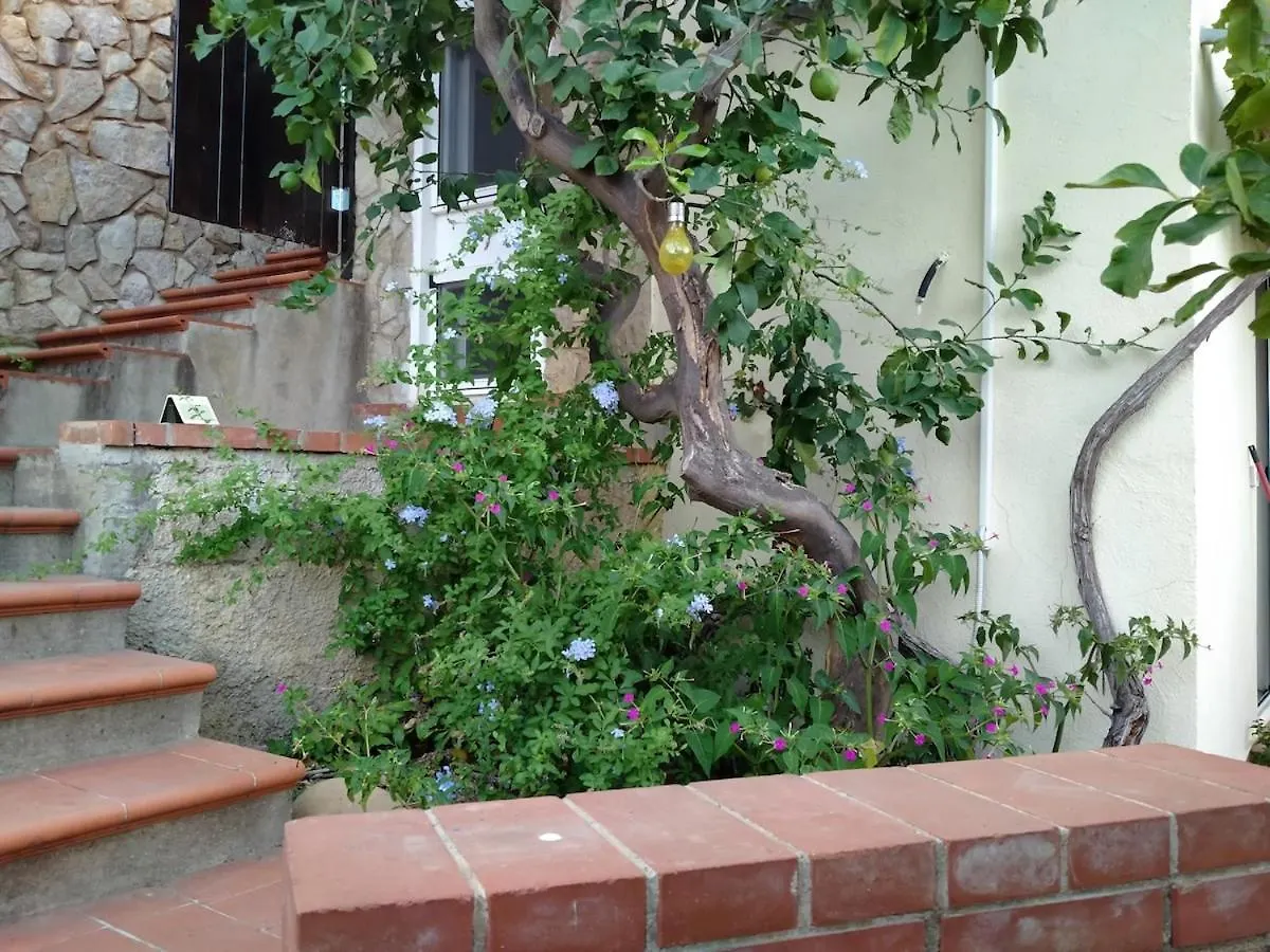 La Pergola Sul Mare Apartment Mandra Capreria Italy