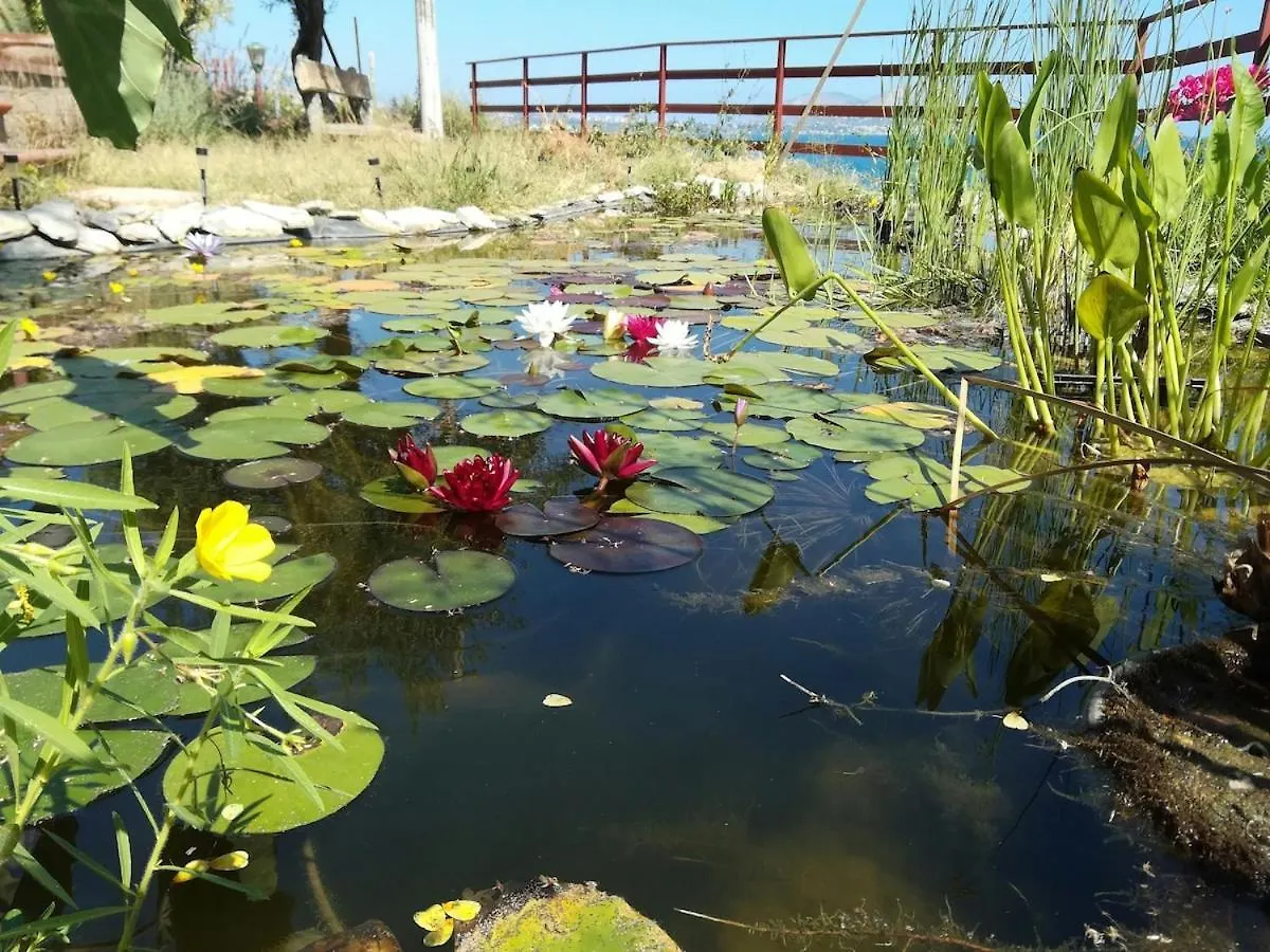 公寓 Mandra CapreriaLa Pergola Sul Mare公寓