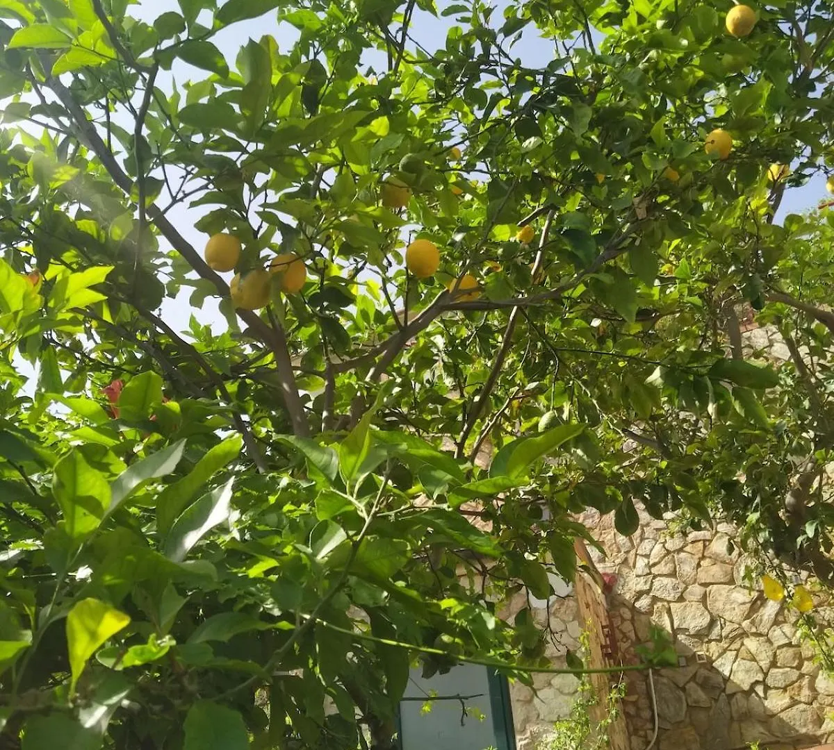 Mandra CapreriaLa Pergola Sul Mare公寓 公寓