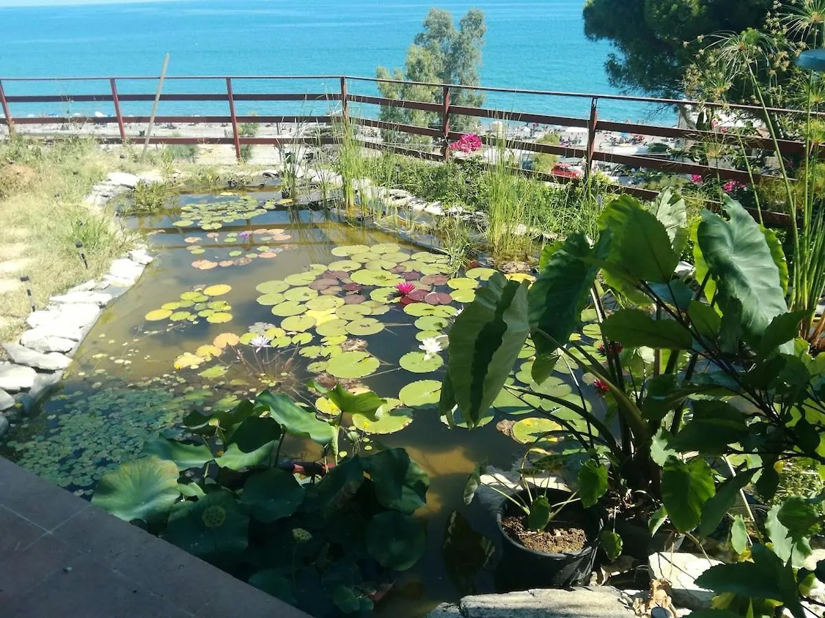 La Pergola Sul Mare Apartment Mandra Capreria