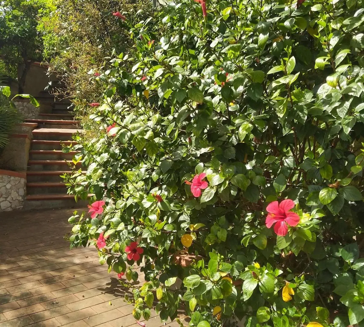 公寓 Mandra CapreriaLa Pergola Sul Mare公寓